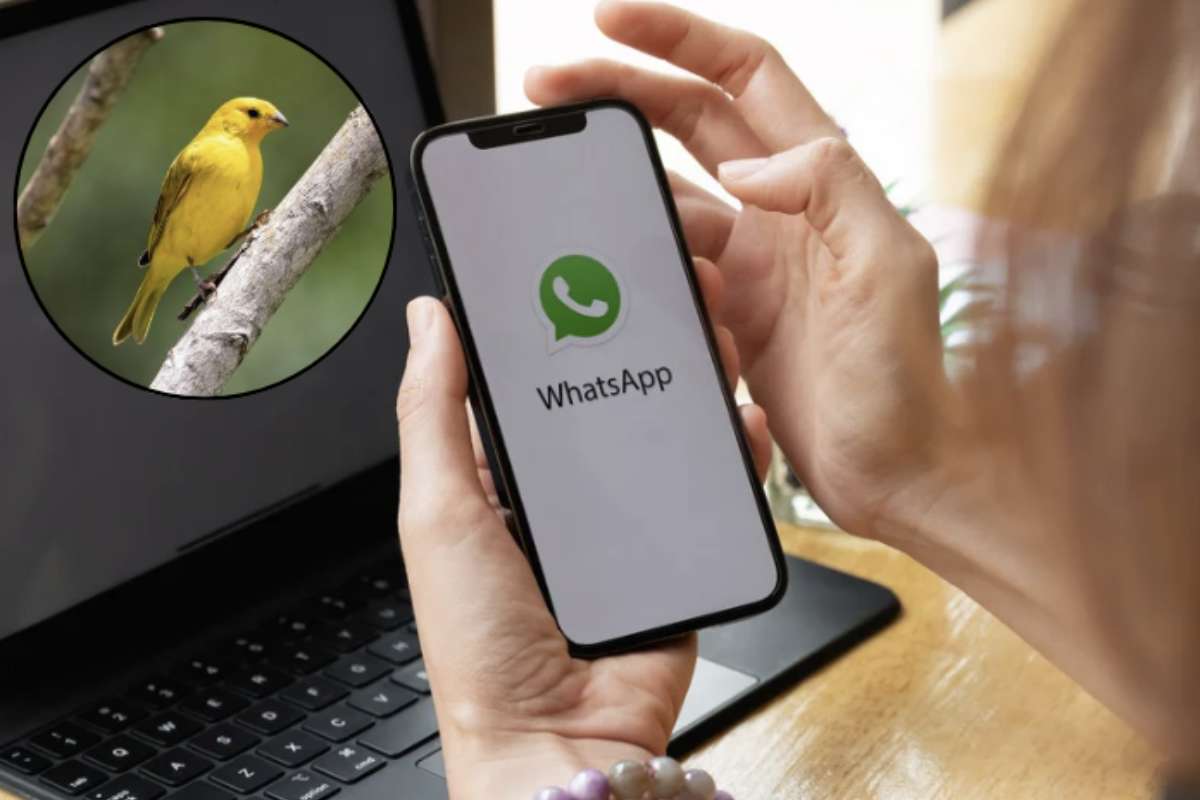 Ma di cosa si tratta esattamente e come si attiva questa modalità? Scopriamo tutti i dettagli aggiornati e le modalità