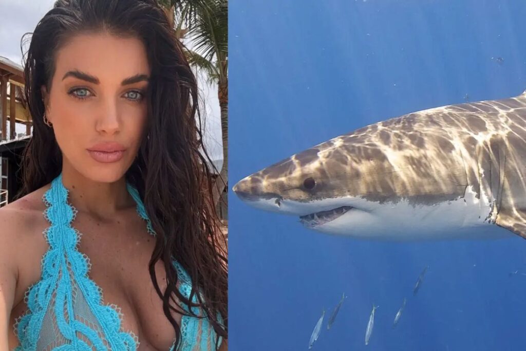 Eleonora Boi morsa da uno squalo a Porto Rico: incinta e sotto osservazione, paura per la moglie di Danilo Gallinari
