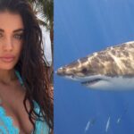 eleonora boi squalo porto rico incidente