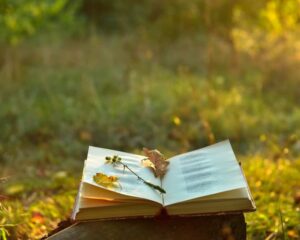 Si tratta del borgo più piccolo e affascinante d’Italia: qui i libri sono protagonisti 1 dove si trova mucciafora