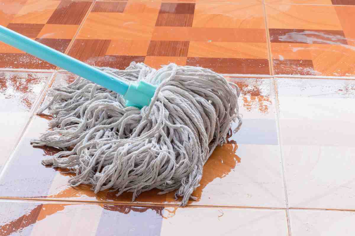 Il gesto semplice che tutte le casalinghe hanno adottato: foglia di alloro nel secchio del mocio e si vola 2 trucco pavimento
