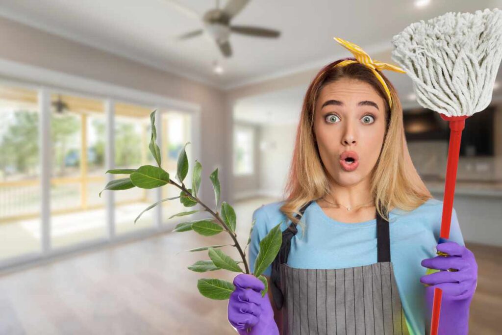 Il gesto semplice che tutte le casalinghe hanno adottato: foglia di alloro nel secchio del mocio e si vola 1 trucco casalingo alloro